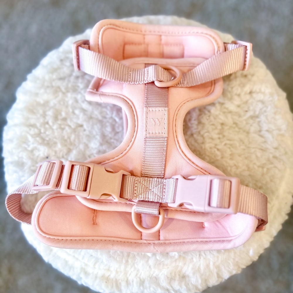 Wild One Harness in “Blush” size Small